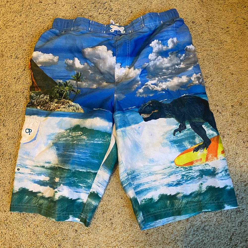 Dino swim trunks